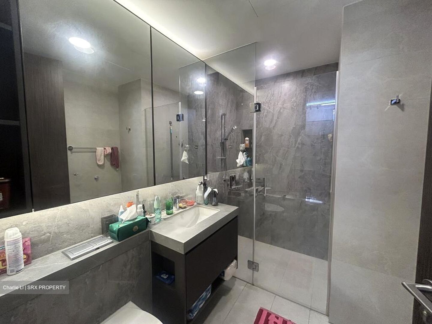 Parc Clematis (D5), Apartment #524216401